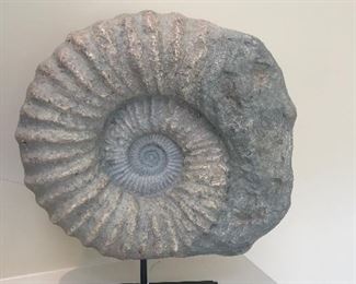 Nautilus Decorative Shell