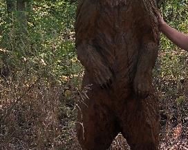 carved bear life size