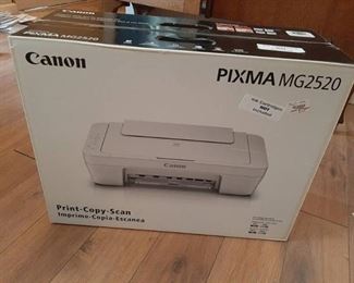 Canon PIXMA MG2520 - multifunction printer (color)