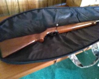 410 Bolt Action Rifle