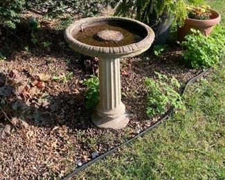 UNADJUSTEDNONRAW thumb 1d8b