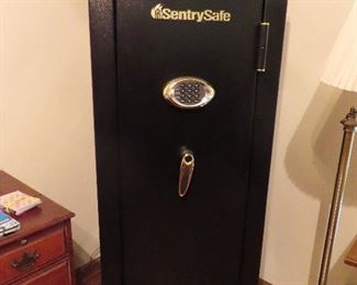 Sentry Gun Safe