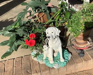 Live plants - lawn ornament 