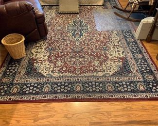 10' x 6' area rug