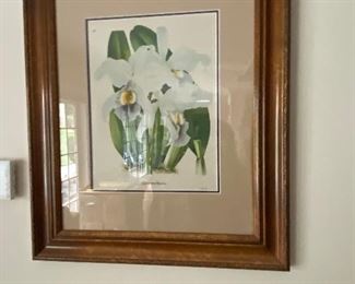 BOTANICAL PRINTS