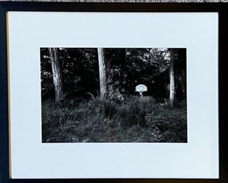Untitled

Ritch Winokur 

Gelatin Silver Photograph 

17.5" x 21.5" (framed)

The Story: 
I am drawn to making images that document the space we claim on the land and how the land naturally reclaims that space. I’d driven by this scene hundreds of times on my way home from work and was struck by how the basketball net looks at once alien and completely at home among the trees. I’d passed it in the rain and snow and on clear days and cloudy days, wondering how many games had been played there and how long it had been since the last one. I finally stopped on this summer day seeing the sun was just right on the backboard. The click of the shutter momentarily (but forever) delaying the inevitable moment when it would be swallowed up by the trees.