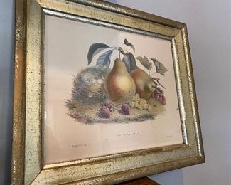 Vintage lithographs and prints 