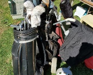 Golf Clubs. Can hardly give them away. My brother say to fill a bag and sell for $25! That's 10 or 11 Clubs and bag! And just maybe a cart as well!