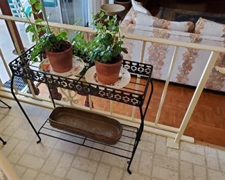 Lots of beautiful plants & plant stands