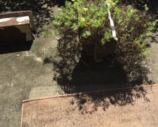 Outdoor items In courtyard