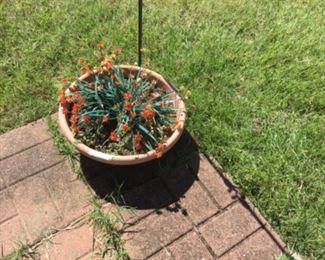 Outdoor items In courtyard