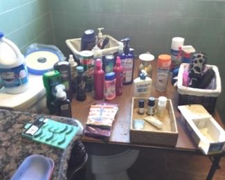 Inside House Bathroom