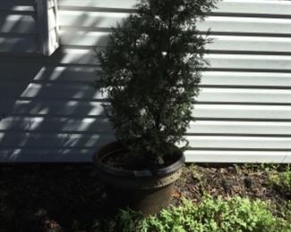 Outside around the house