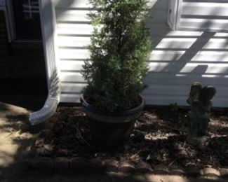 Outside around the house