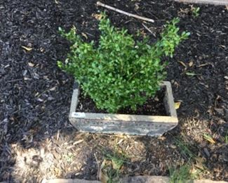 Outside around the house