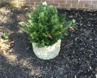 Outside around the house