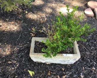 Outside around the house