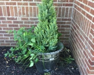 Outside around the house