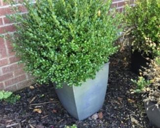 Outside around the house