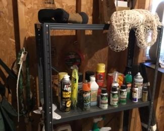 Outside around the house