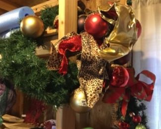 Outside around the house