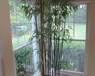 Plants TO Choose From