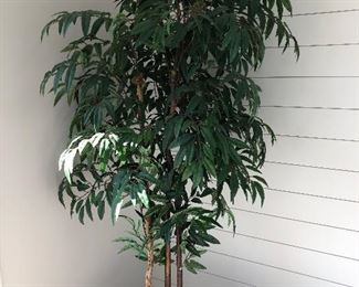 #33)  $50 - Accent Tree.