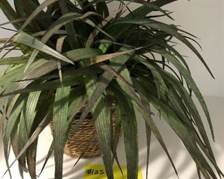 #125)  $10 - Faux Plant.