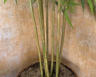 Faux Bamboo Plant 36 inches high