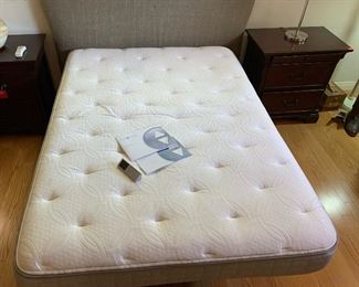 FULL Sz Sleep number cSE Fully Adjustable Bed 54x75in