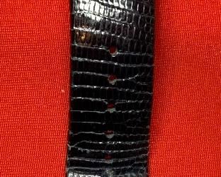 Philip Stein Teslar Watch Dual Time Zone 35mm wide face