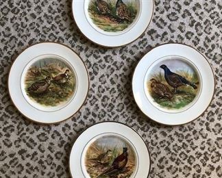 Decor-only plates. set of 4. $35.00