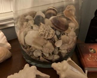 Shell collection