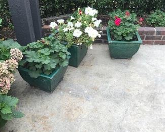 garden pots available for in-person sale Friday only