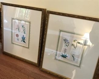 Benjamn Maund Pair of botanicals for sale. $240