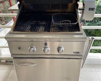 interior shot of the grill - natural gas ready