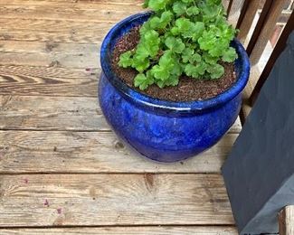 available for in-person sale Friday only