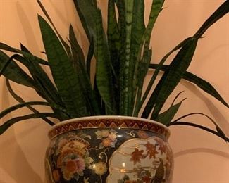 Pair of pots with plants 