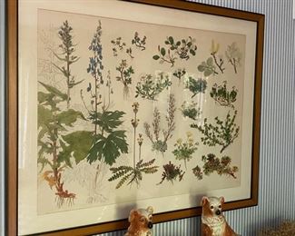 Large framed botanical lithograph                                       39"h x 49"w