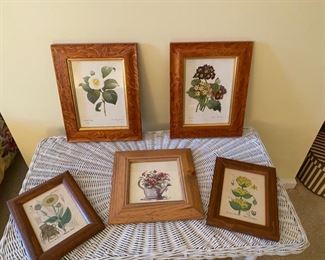 5 small botanical prints                                                     50.00                                           