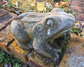 Cement Frog