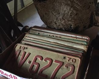 License Plates/Hornet's Nest