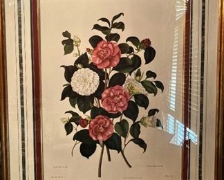 Framed botanical