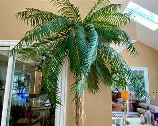 Lot 3154. $175.00  each.  1.  Tall Palm Tree in Resin Pot- Cool & Big, need a big truck or a Sunroof.  Lol!  We have two of these huge palm trees!  You'll feel like you're in the tropics ;-) 9.5' tall x 5' wide.  Pot is 23" w x 20" tall.  