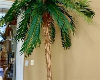 Lot 3155. $175 each.   2. Tall Palm Tree in Resin Pot- Cool & Big, need a big truck!  We have two of these huge palm trees!  You'll feel like you're in the tropics ;-). 9.5' tall x 5' wide.  Pot is 23" w x 20" tall.  