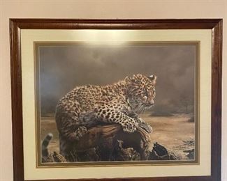 PP190   Tiger Print with frame