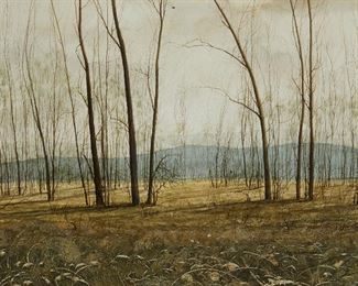 1046
Thomas De Decker
b. 1951, American
Landscape With Trees
Watercolor on paper under glass
Signed lower right: Tom A. DeDecker, and with the copyright symbol
Sight: 22.5" H x 29.5" W
Estimate: $400 - $600