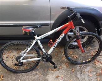 Giant Iguana Mountain Bike