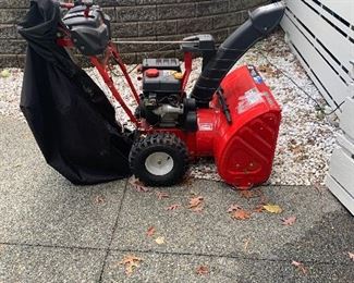Troy Bilt Snowblower