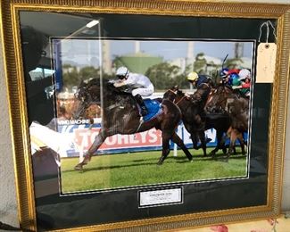 "Vancouver" Golden Slipper Stakes winner, $300